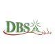 DBS Radio