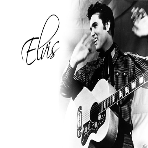 Elvis and Company
