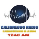 Calibre800 Radio