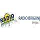 Radio Birgunj 99 FM