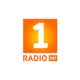 SRF 1 Radio