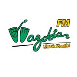 Wazobia FM