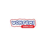 Wontumi Radio