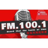 Pudong FM 100.1