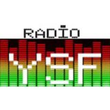 Radio YSF