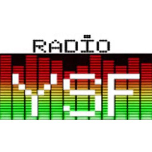 Radio YSF