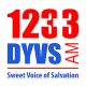 1233 DYVS