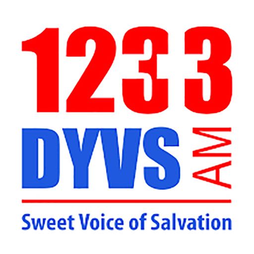 1233 DYVS