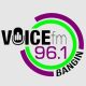 96.1 Voice FM