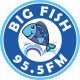 Big Fish 95.5 FM