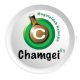 Chamgei FM