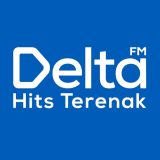 Delta FM Hits