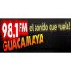 Guacamaya FM 98.1