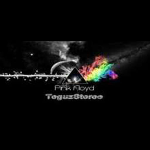 Pink Floyd Teguz