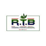 RTB Bazimini