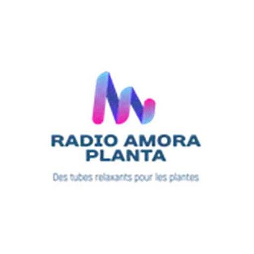 Radio Amora Planta