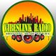 VibesLink Radio
