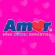 Amor 103.1 FM