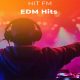 HIT FM EDM Hits
