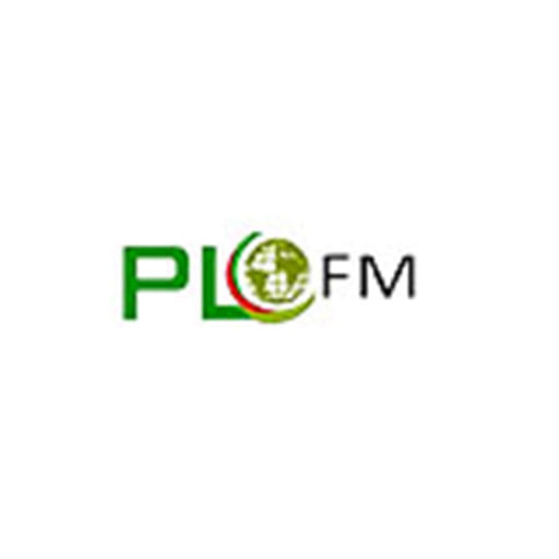PLFM Radio