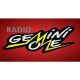 Radio Gemini One