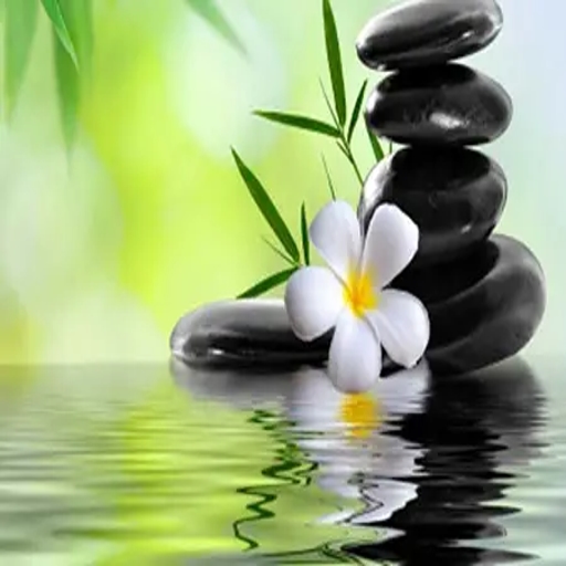 Radio Art - Classical Relaxation