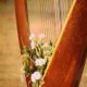 Radio Art – Solo Harp