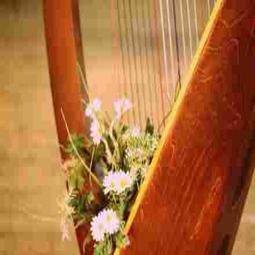 Radio Art - Solo Harp