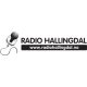 Radio Hallingdal