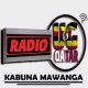 Radio Uganda Qatar
