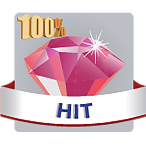 100% Hit Web Radio