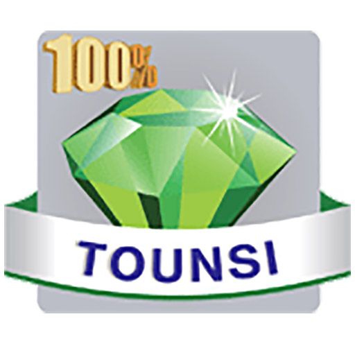 100% Tounsi Web Radio