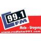 Radio FM 99.1