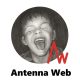 Antenna Web Castletown