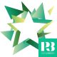 P3 Star