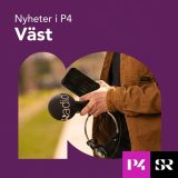 P4 Vast