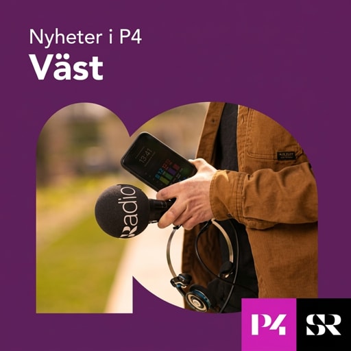 P4 Vast