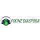 Pikine Diaspora Radio