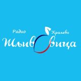 Radio Sljivovica